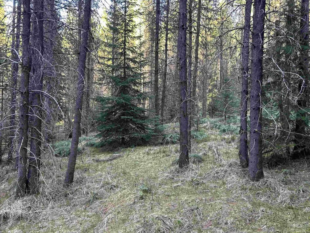 Picture 23