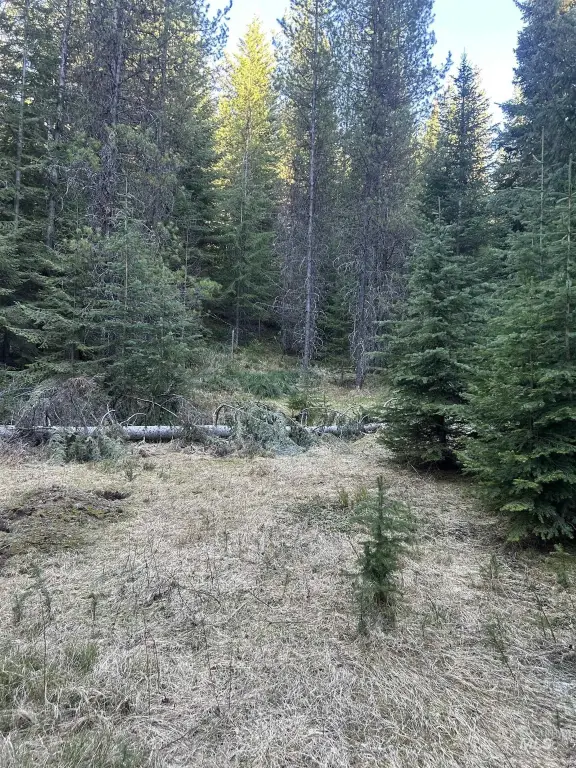Picture 8