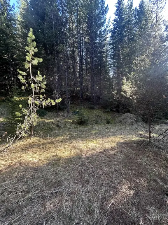 Picture 13