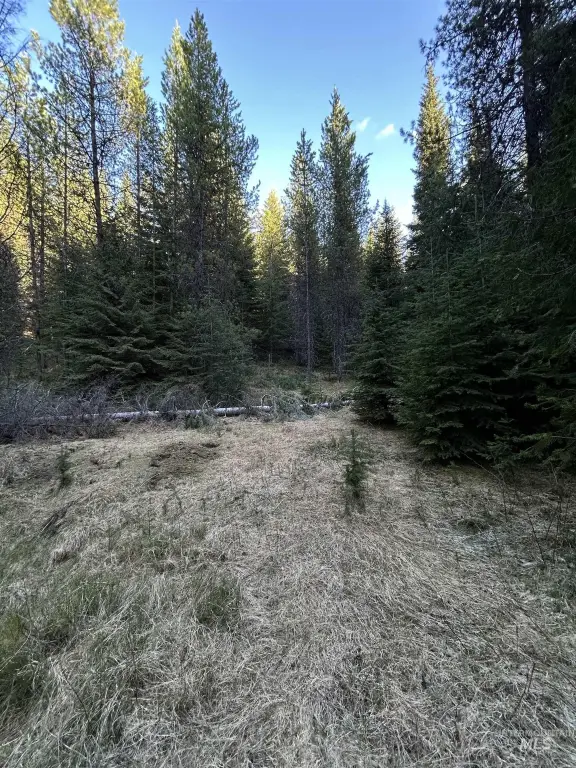 Picture 6
