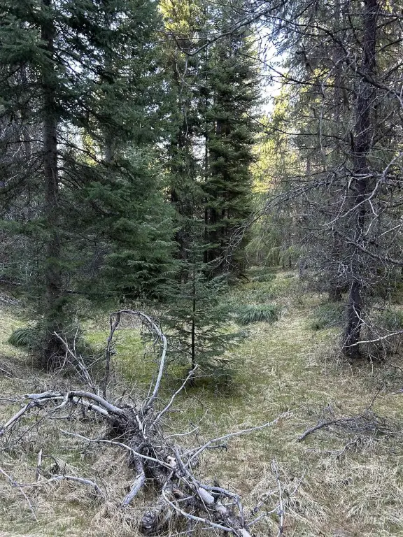 Picture 4