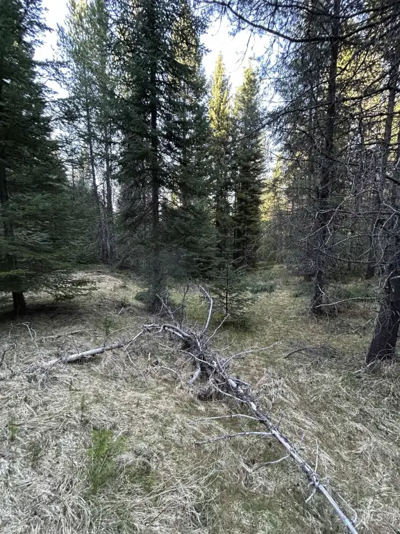Picture 5