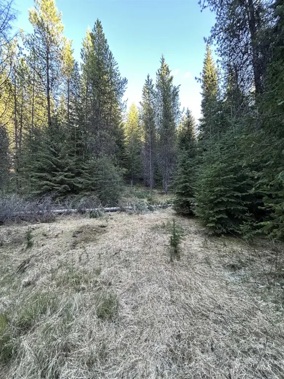 Picture 7