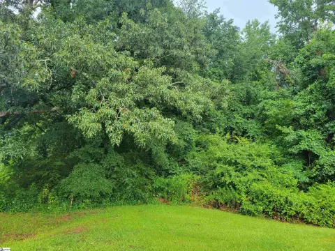 Greer Acreage with Pond