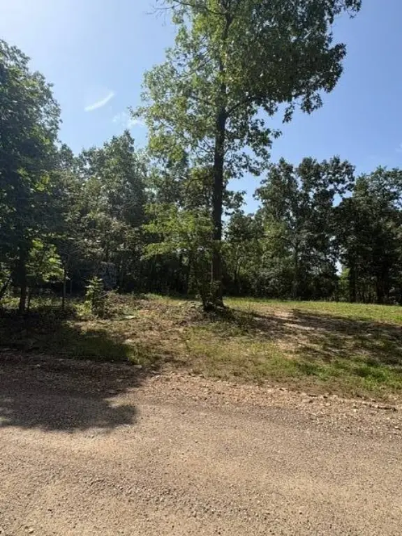 Picture 4