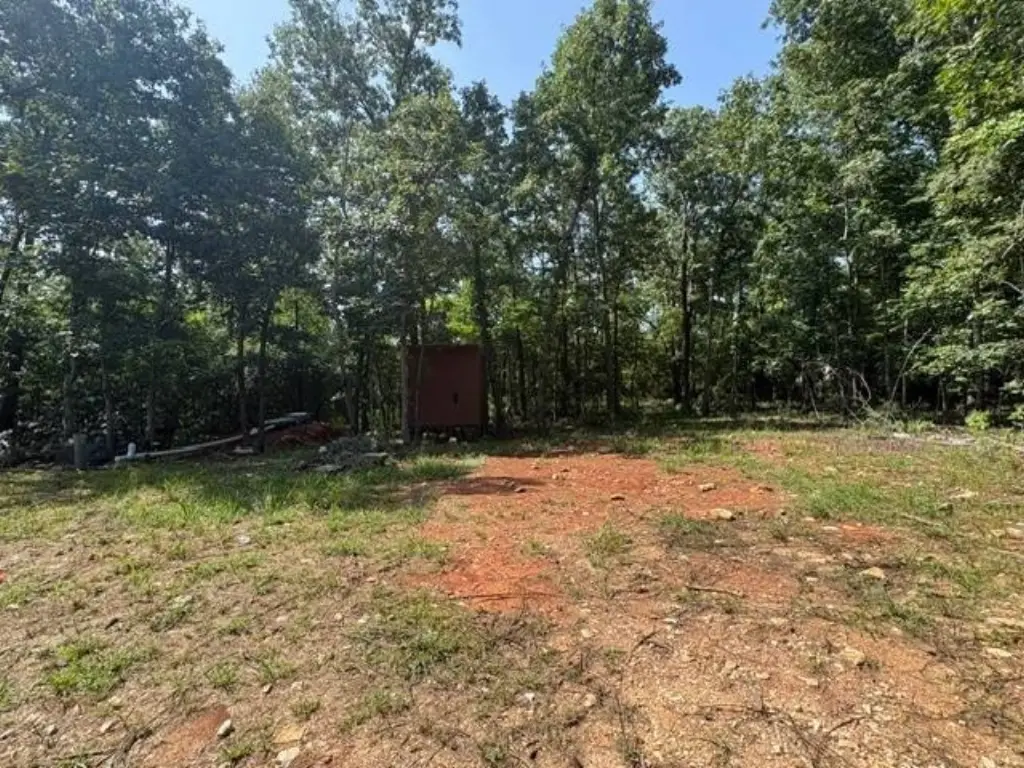 Picture 5