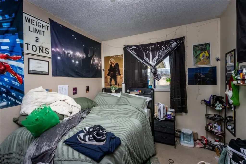 Picture 13