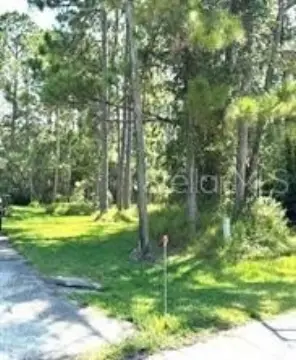 Vacant Lot in Palm Coast
