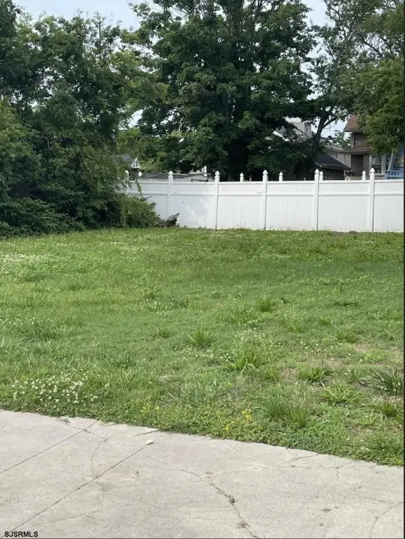 Picture 7