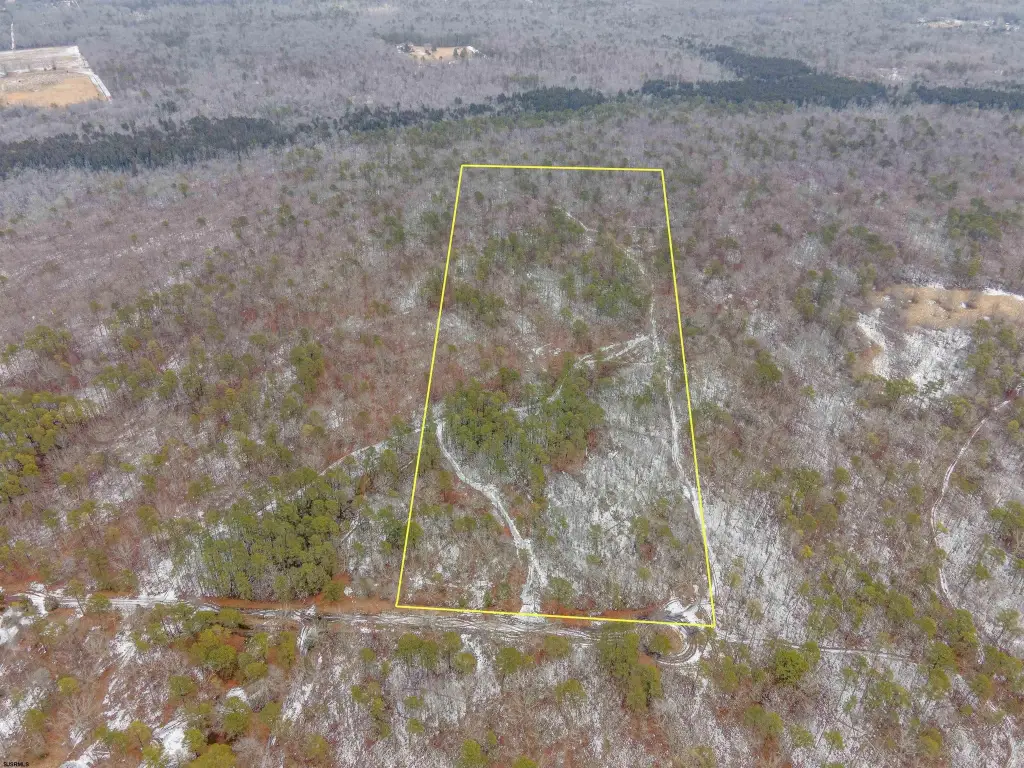 Picture 12