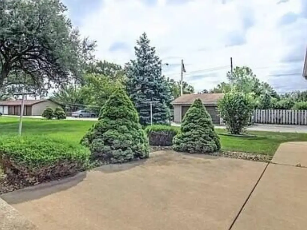 Picture 17
