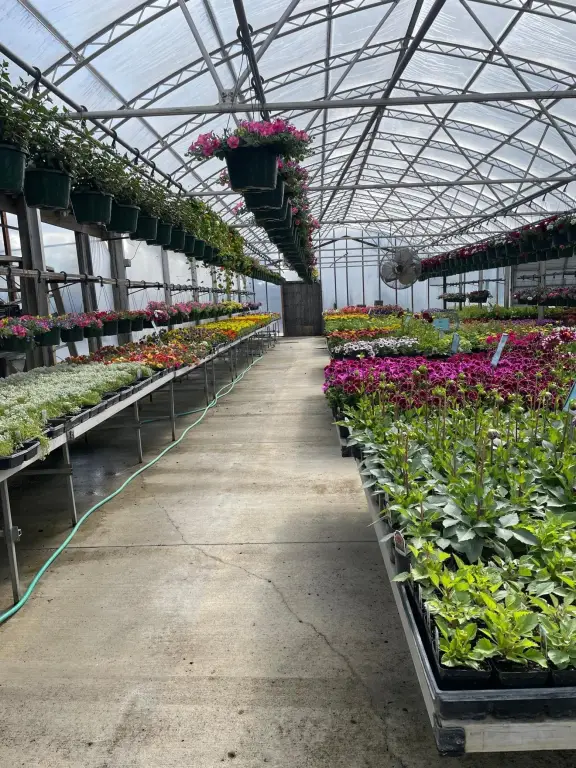 Picture 4