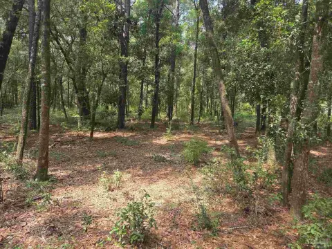 Residential Lots in Milton, FL