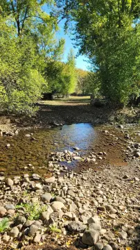 Land with Creek in Council