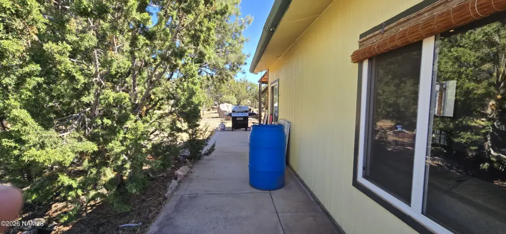 Picture 42