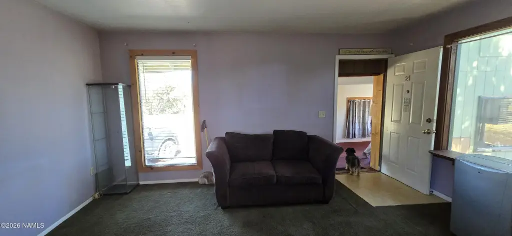 Picture 12