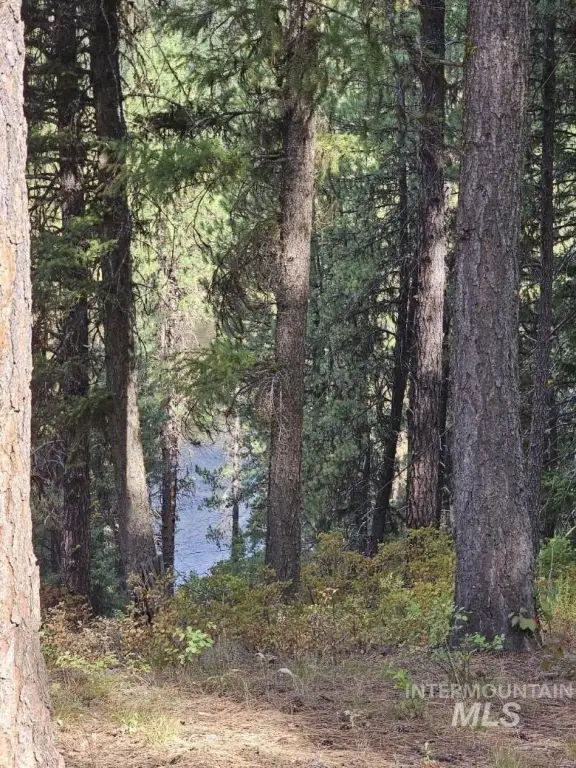 Picture 4