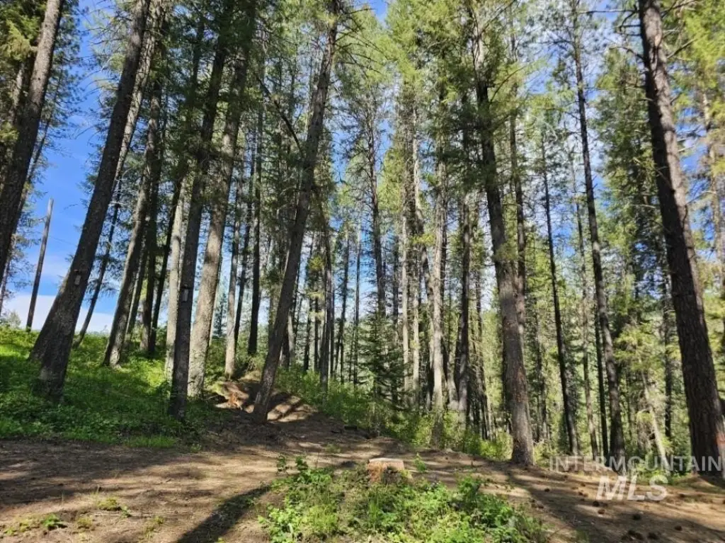 Picture 9