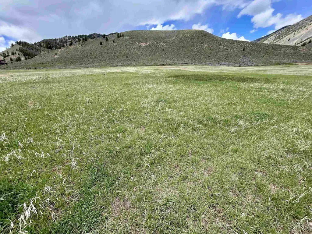 Picture 23