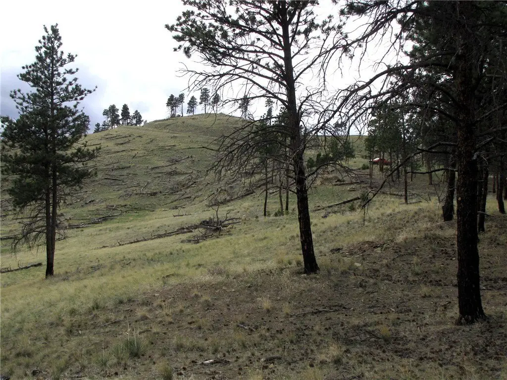 Picture 42