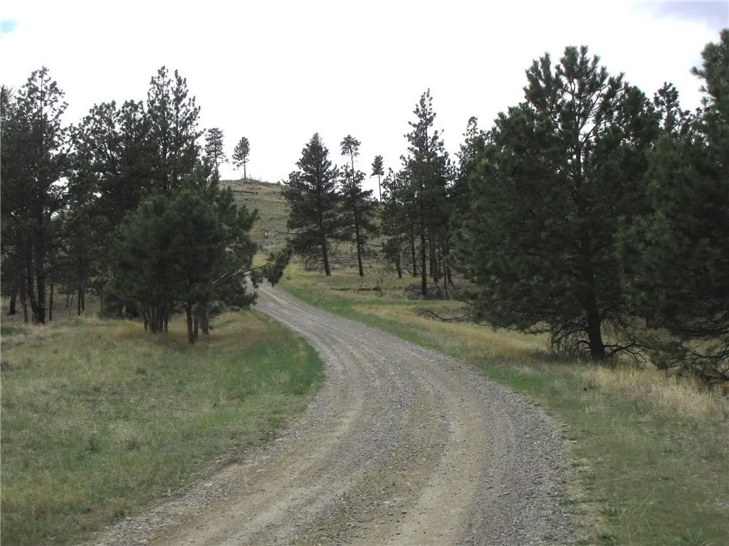 Picture 17