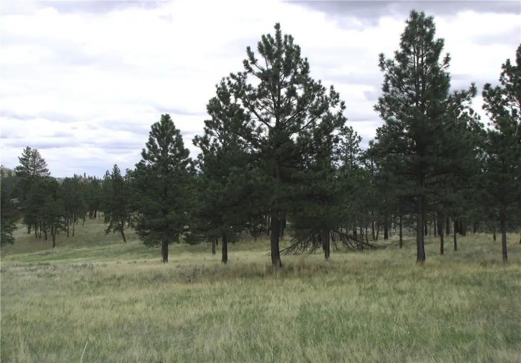 Picture 10