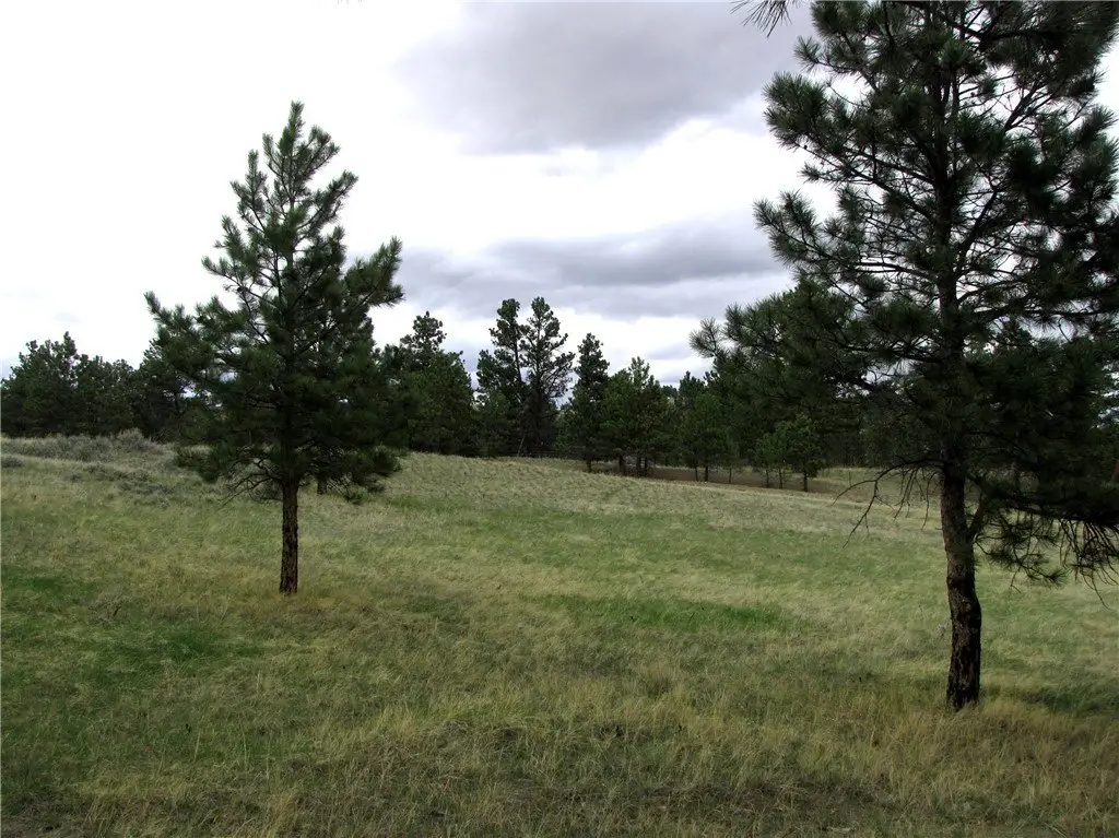 Picture 11