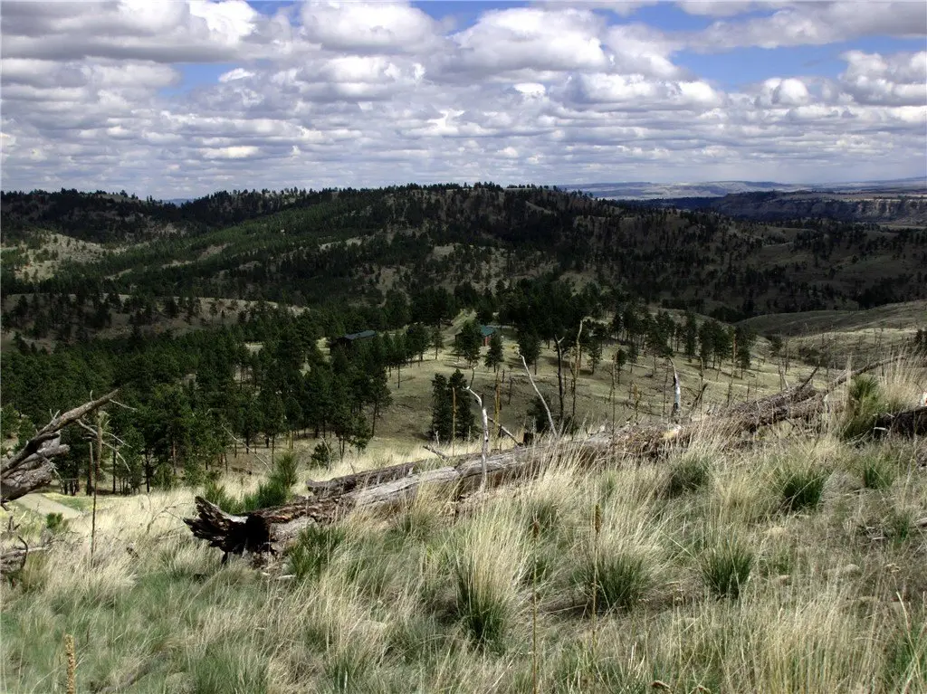 Picture 16