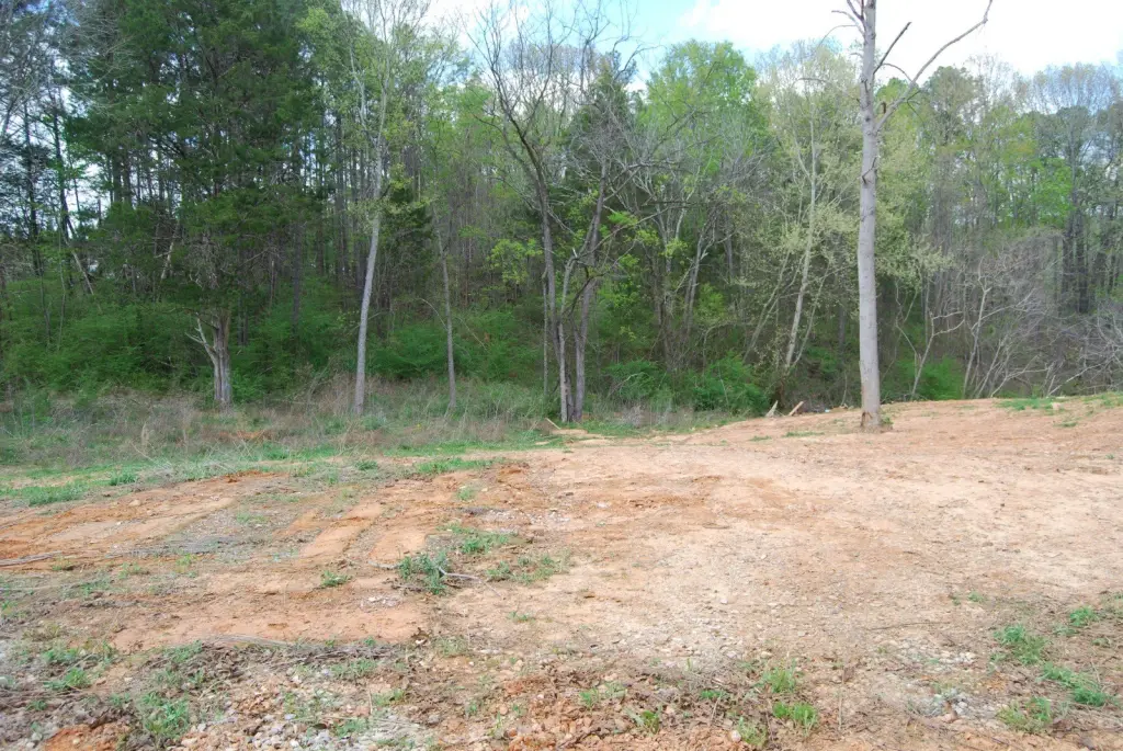 Picture 3