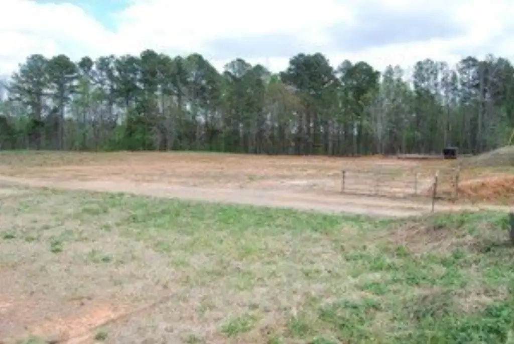 Picture 7