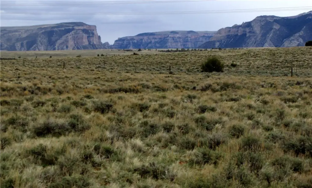Picture 31