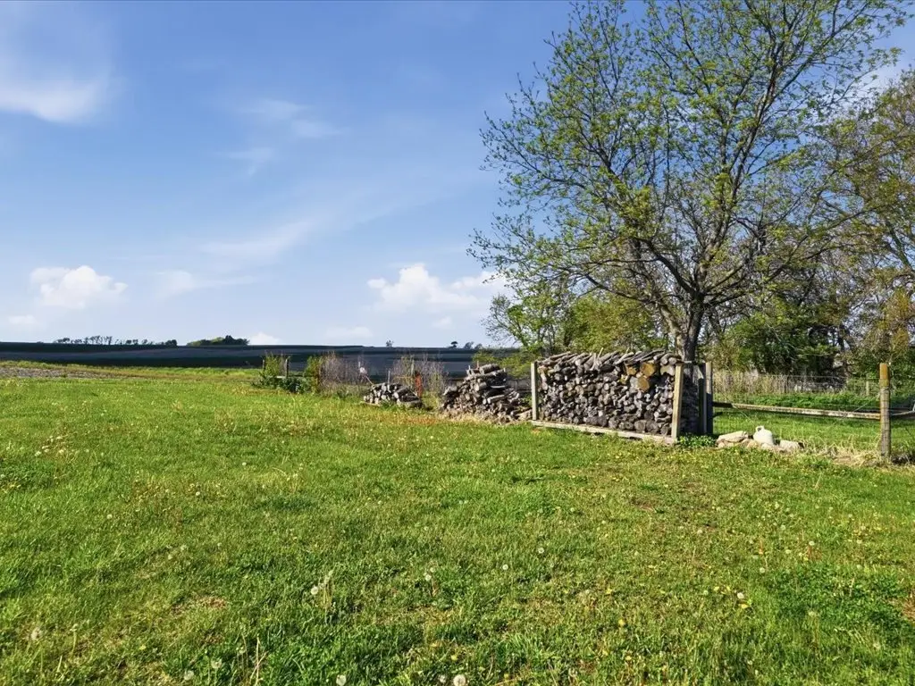 Picture 28