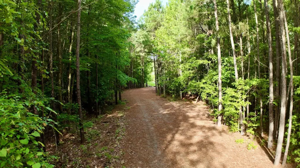 Picture 27