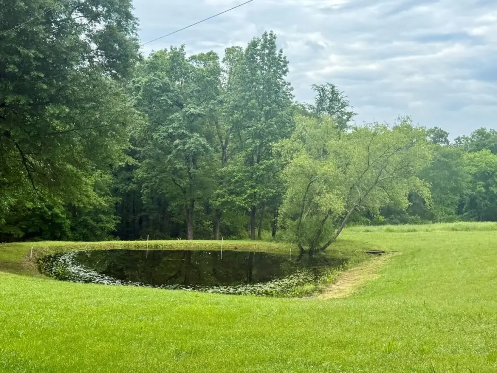 Picture 11