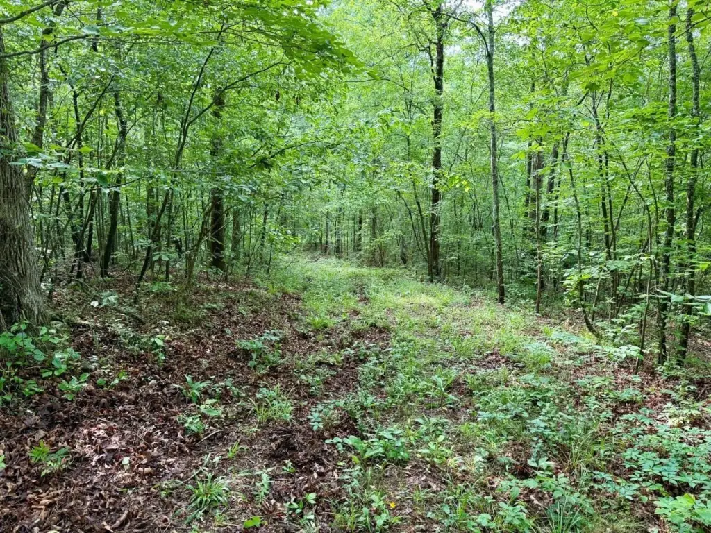 Picture 26