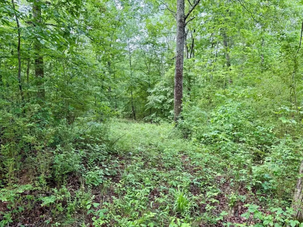 Picture 28