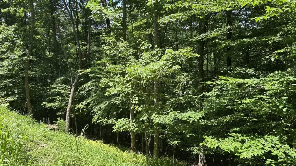 Picture 3
