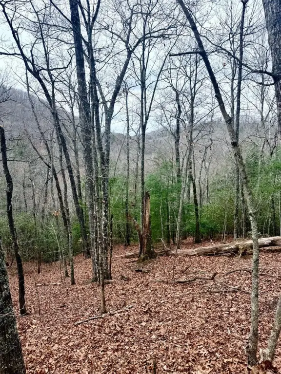 Picture 17