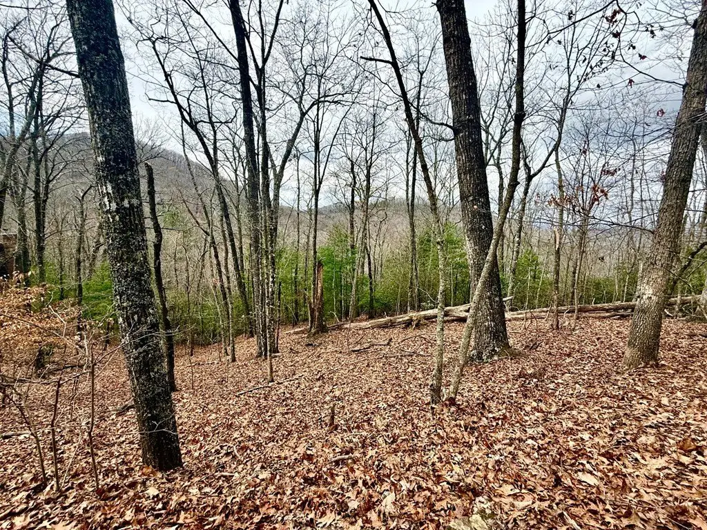Picture 4