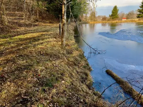 Wooded Land in Woodlawn, VA