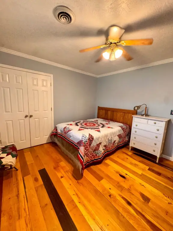 Picture 41