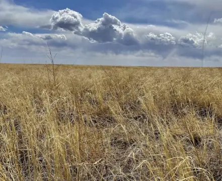 Grassland CRP Investment Opportunity