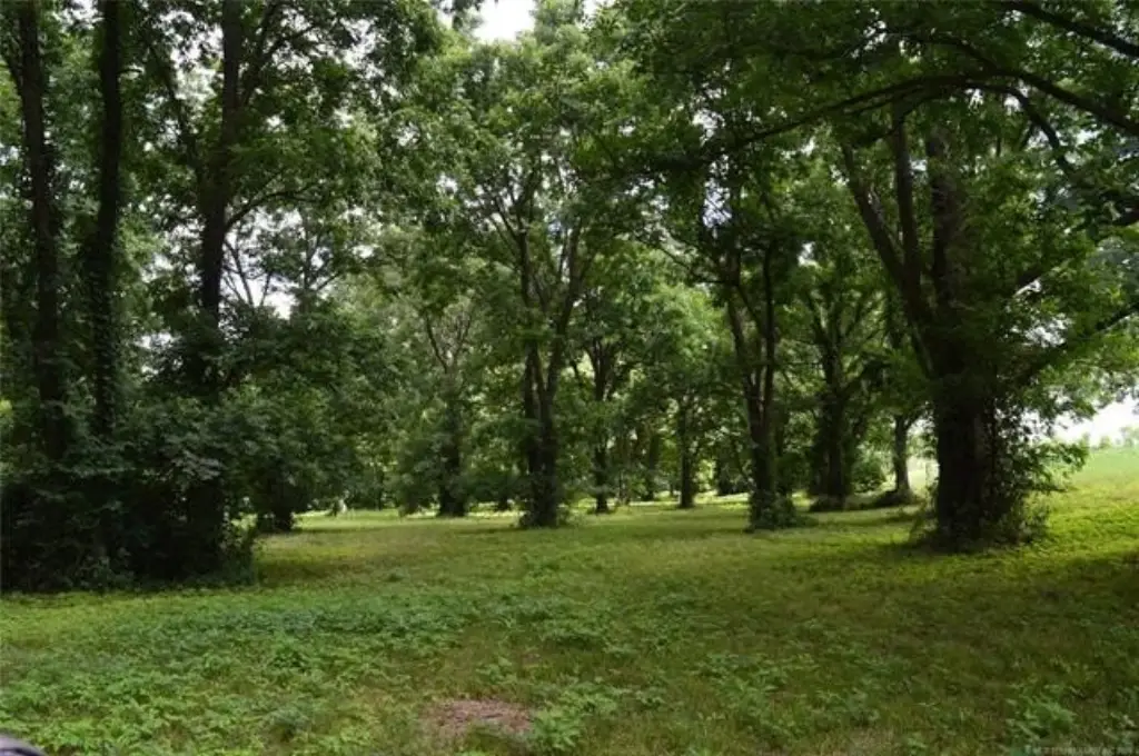 Picture 12