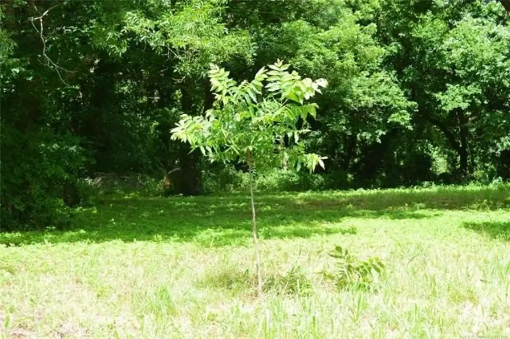 Picture 4