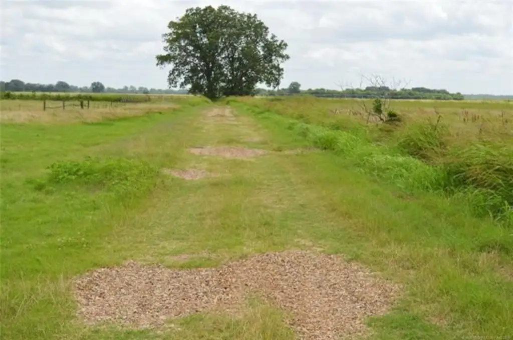 Picture 6