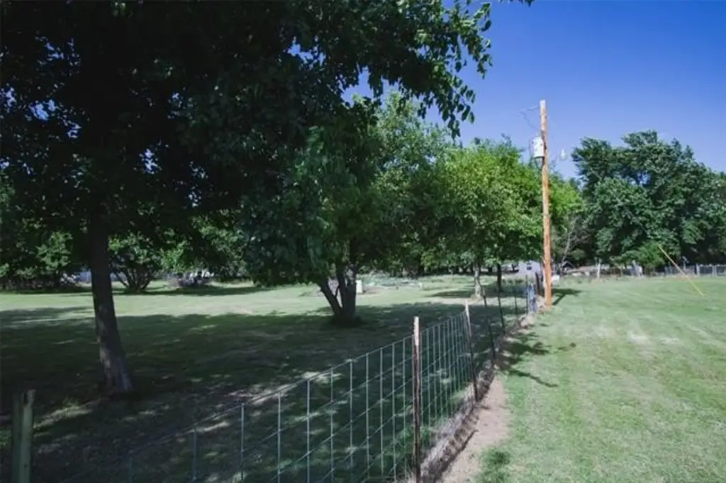 Picture 9