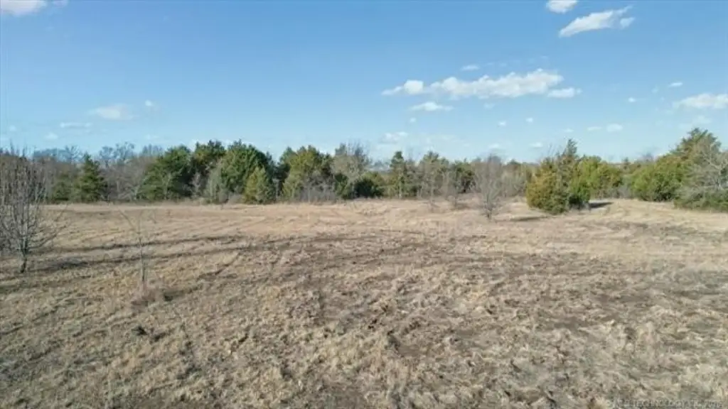 Picture 11