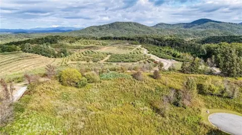 Picture of Residential land & home lots at Ridgemont Ln 21, Ellijay, GA