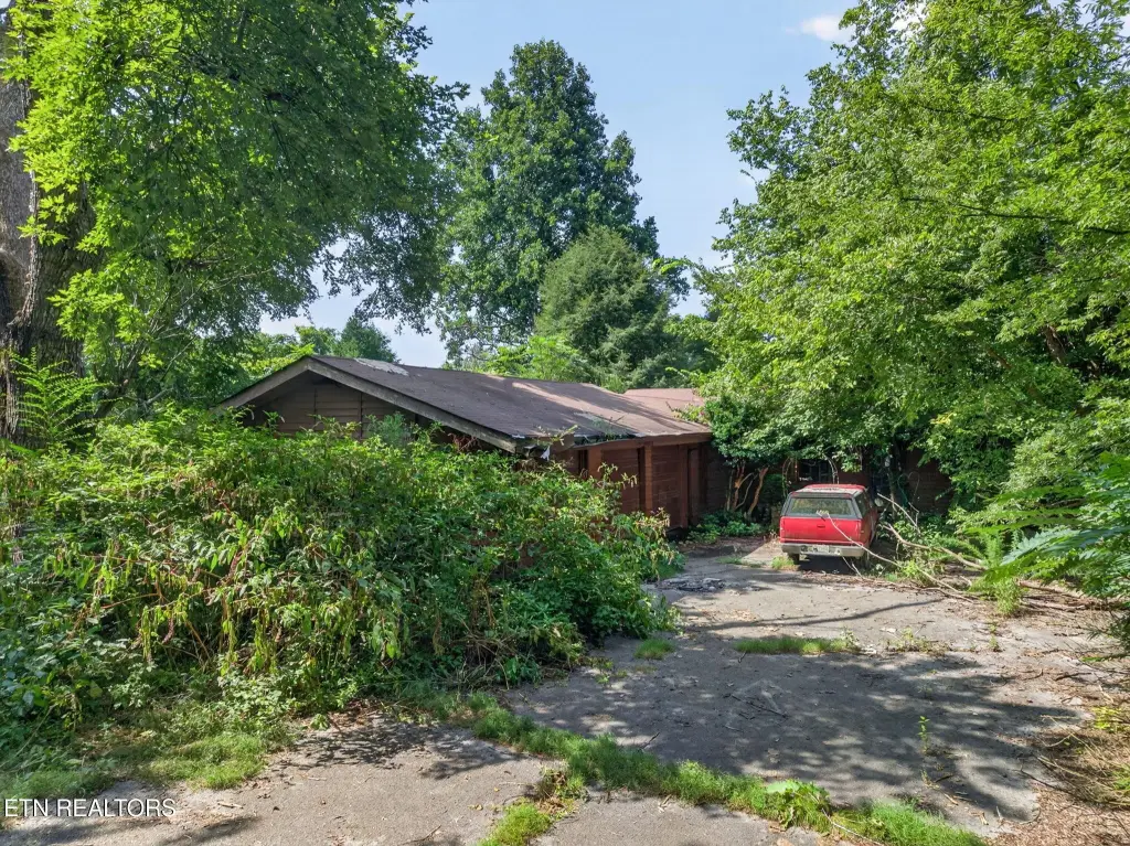 Picture 35