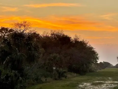 Expansive 1.25-Acre Land Parcel